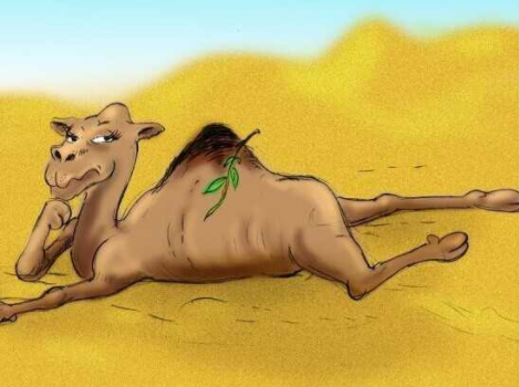 業(yè)務(wù)開展舉步維艱 業(yè)務(wù)開展舉步維艱